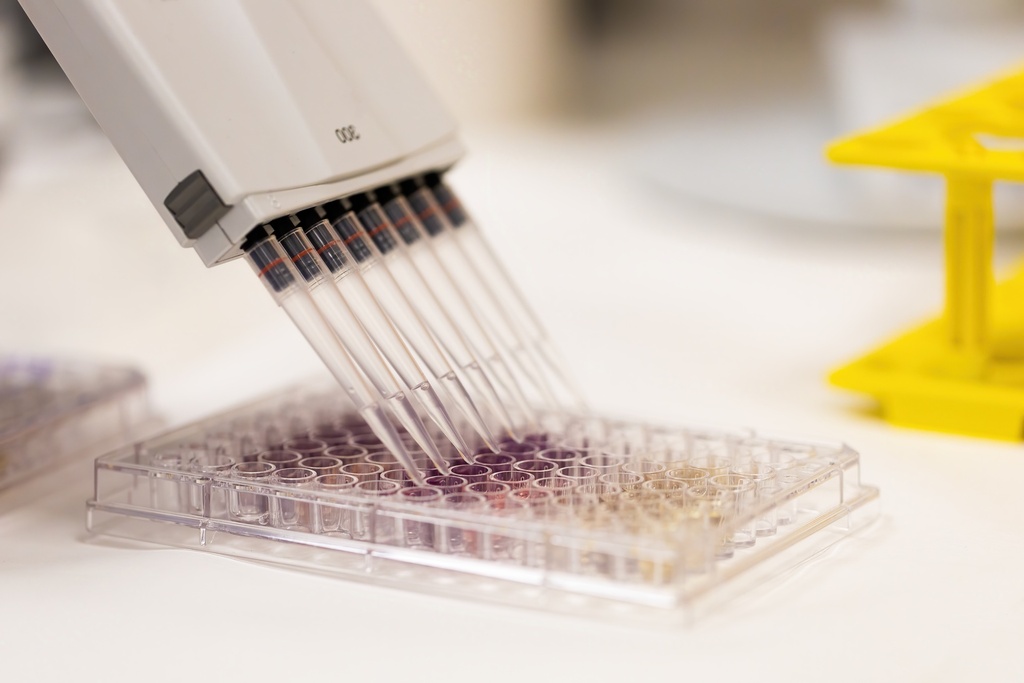 96-Well Skirted PCR Plate, Yellow 25 plates