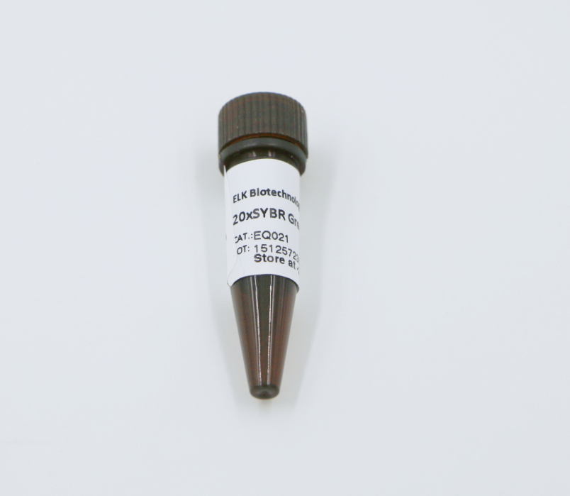 20×SYBR Green Dye 