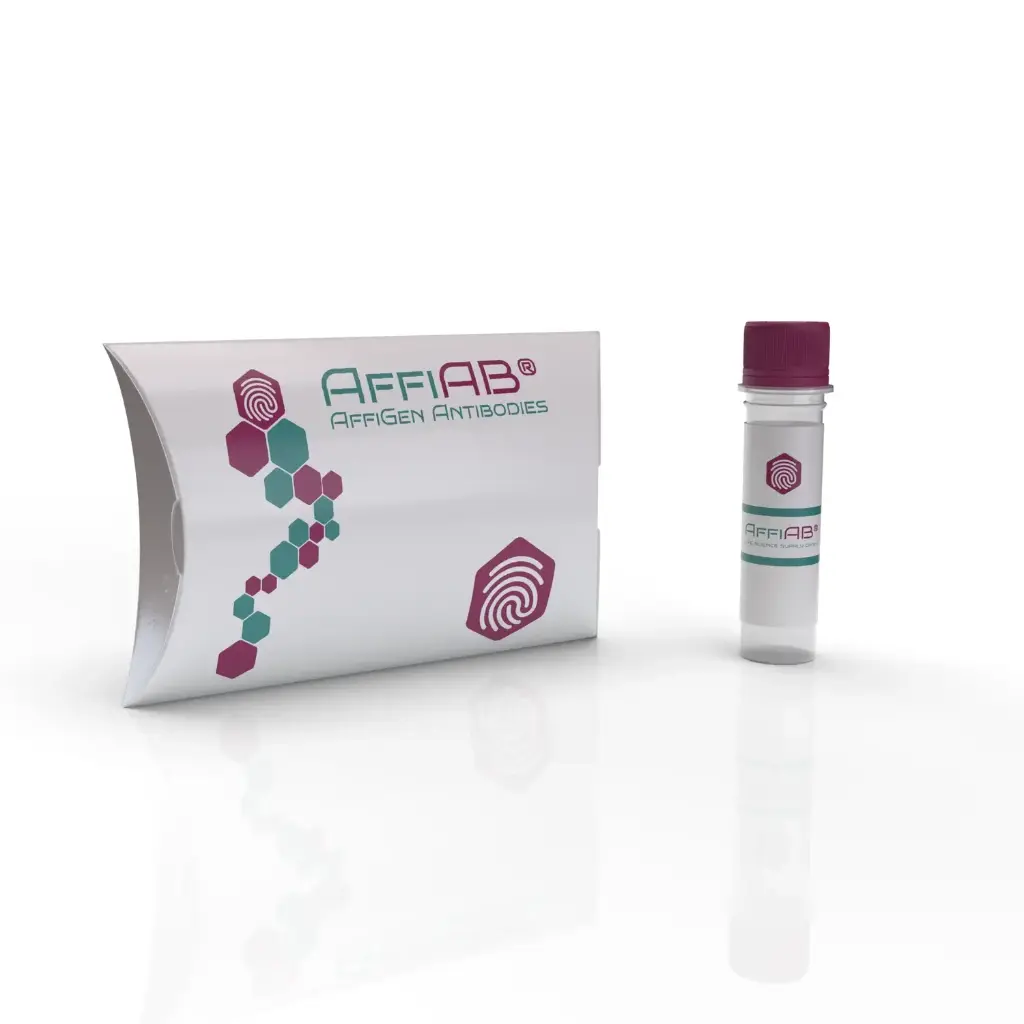 LEG9 Antibody - 100µg