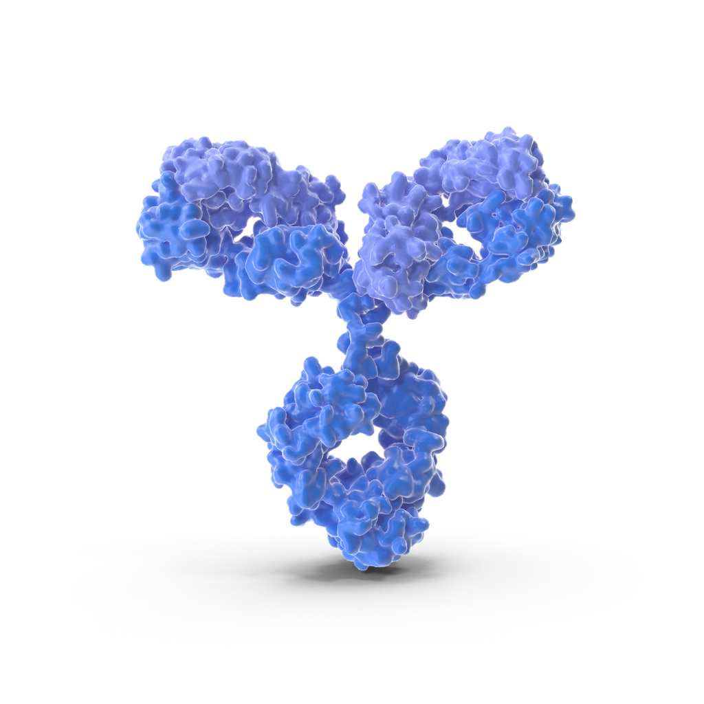 LEG9 Antibody - 100µg