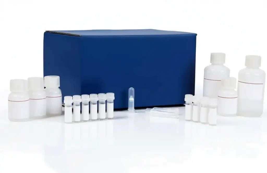  Cathepsin B Inhibitor Screening Kit (Fluorometric)