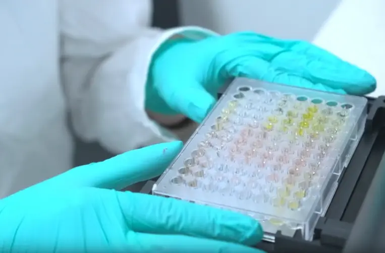 Human HPV16 L1 Ab ELISA Kit