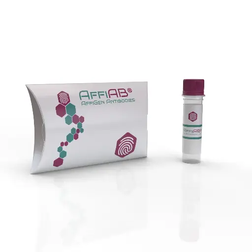 [ABF5290] LEG9 Antibody - 100µg
