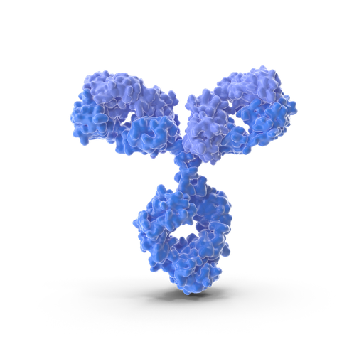 [BF0020] SCGB1A1 antibody - 100µg