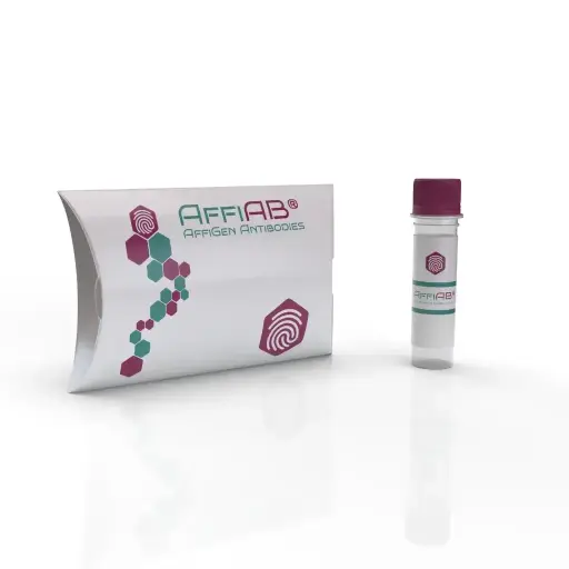 [ABD2467] MIXL1 Antibody - 100µg